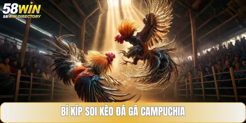 Học hỏi càng nhiều bí quyết, soi kèo càng hiệu quả